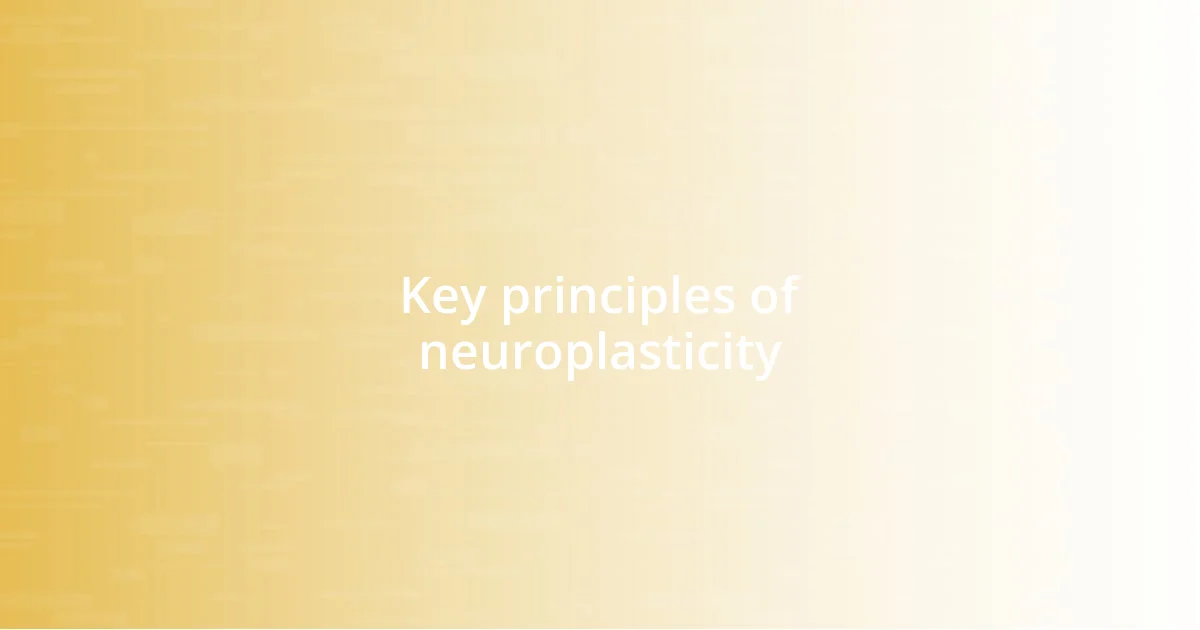 Key principles of neuroplasticity